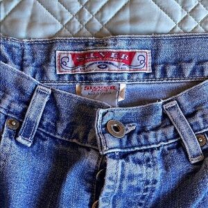 Silver Jeans Men's Blue Jeans (P12)